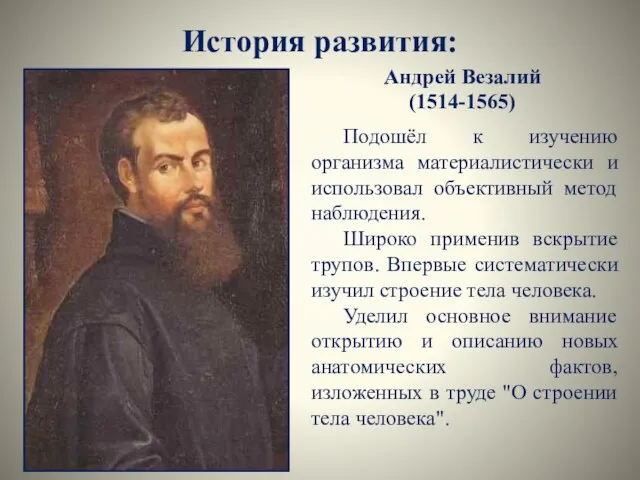 История развития: Андрей Везалий (1514-1565) Подошёл к изучению организма материалистически и использовал