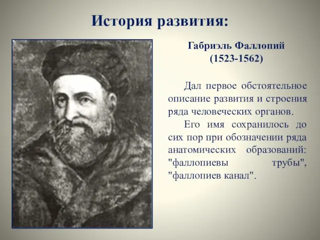 История развития: Габриэль Фаллопий (1523-1562) Дал первое обстоятельное описание развития и строения