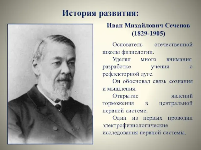 История развития: Иван Михайлович Сеченов (1829-1905) Основатель отечественной школы физиологии. Уделял много