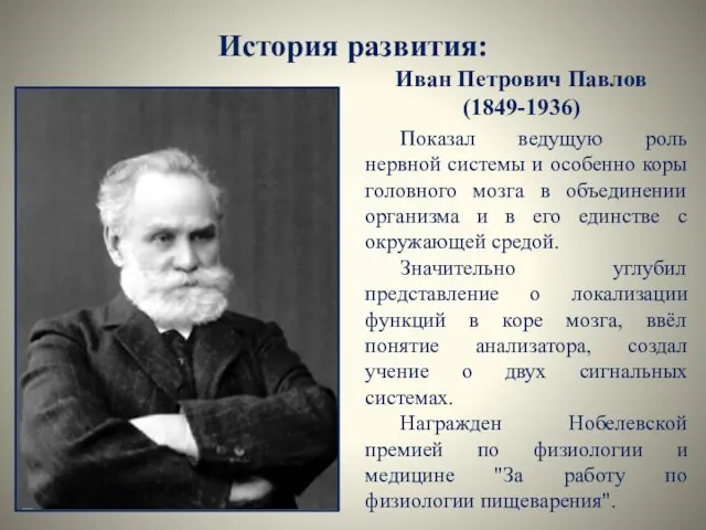 История развития: Иван Петрович Павлов (1849-1936) Показал ведущую роль нервной системы и