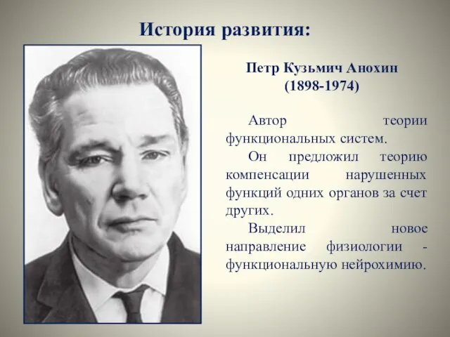 История развития: Петр Кузьмич Анохин (1898-1974) Автор теории функциональных систем. Он предложил