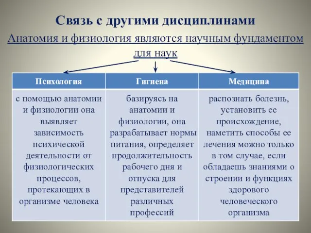 Связь с другими дисциплинами Анатомия и физиология являются научным фундаментом для наук