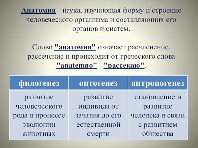 Анатомия - наука, изучающая форму и строение человеческого организма и составляющих его