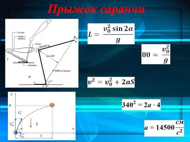 Прыжок саранчи