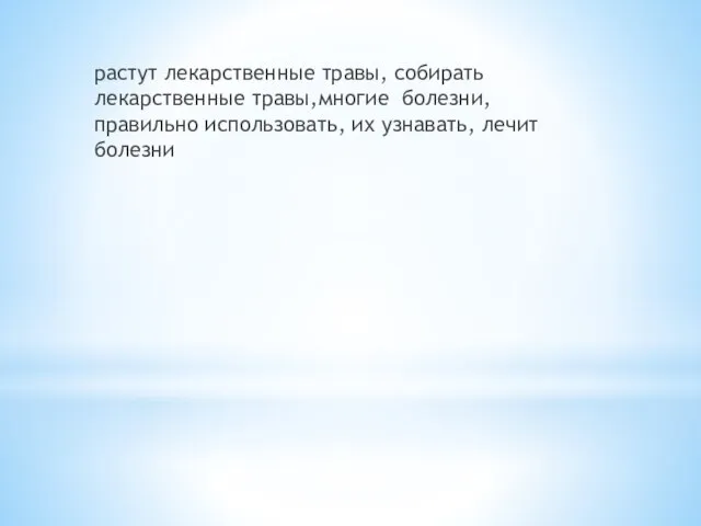 растут лекарственные травы, собирать лекарственные травы,многие болезни, правильно использовать, их узнавать, лечит болезни