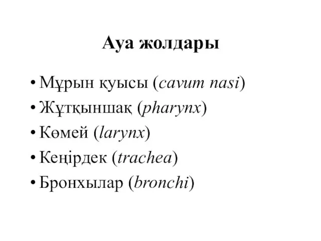 Ауа жолдары Мұрын қуысы (cavum nasi) Жұтқыншақ (pharynx) Көмей (larynx) Кеңірдек (trachea) Бронхылар (bronchi)