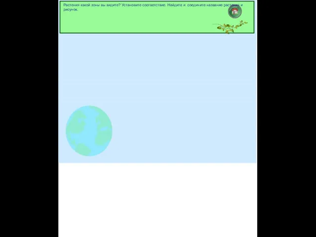 Растения какой зоны вы видите? Установите соответствие. Найдите и ​соедините название растения и рисунок.