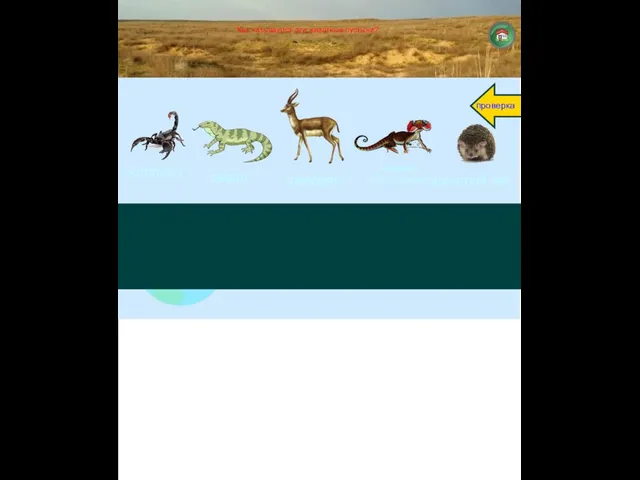 Как называются эти животные пустыни?