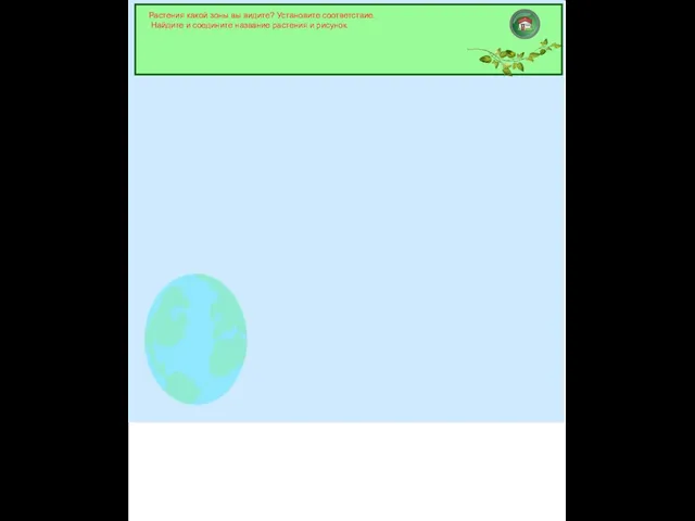 Растения какой зоны вы видите? Установите соответствие. Найдите и соедините название растения и рисунок.