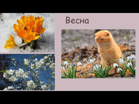 Весна