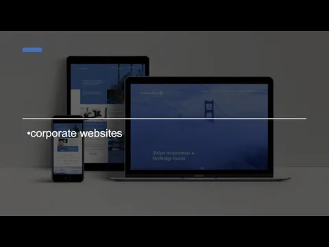 corporate websites