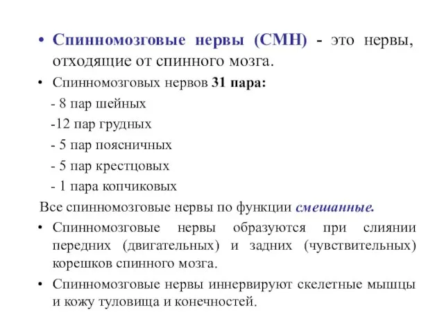 Спинномозговые нервы (СМН) - это нервы, отходящие от спинного мозга. Спинномозговых нервов