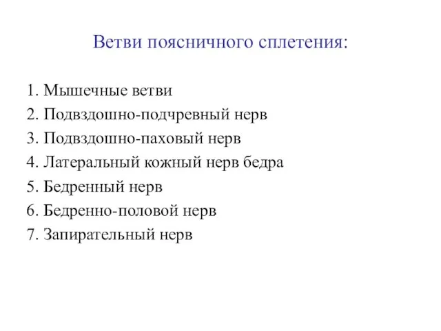 Ветви поясничного сплетения: 1. Мышечные ветви 2. Подвздошно-подчревный нерв 3. Подвздошно-паховый нерв