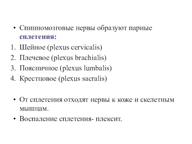 Спинномозговые нервы образуют парные сплетения: Шейное (plexus cervicalis) Плечевое (plexus brachialis) Поясничное