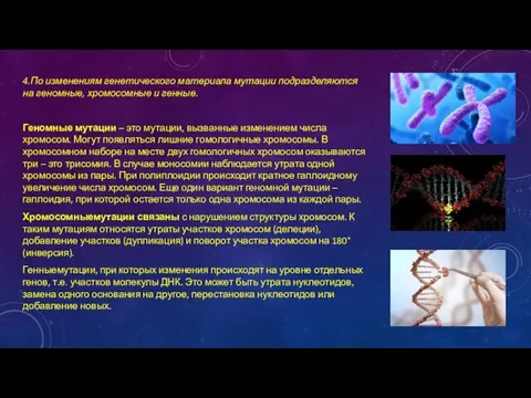 4.По изменениям генетического материала мутации подразделяются на геномные, хромосомные и генные. Геномные