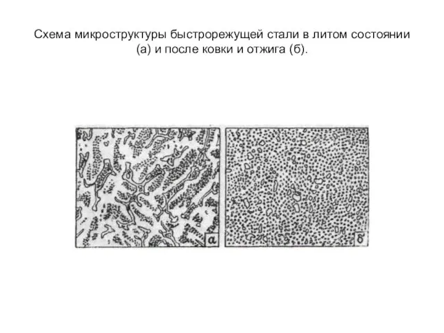 Схема микроструктуры быстрорежущей стали в литом состоянии (а) и после ковки и отжига (б).