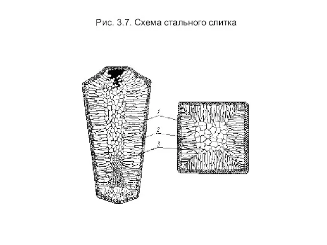 Рис. 3.7. Схема стального слитка