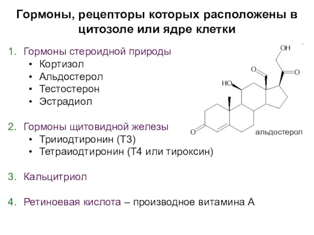 Гормоны, рецепторы которых расположены в цитозоле или ядре клетки Гормоны стероидной природы