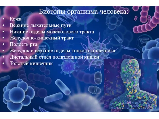 Биотопы организма человека: Кожа Верхние дыхательные пути Нижние отделы мочеполового тракта Желудочно-кишечный