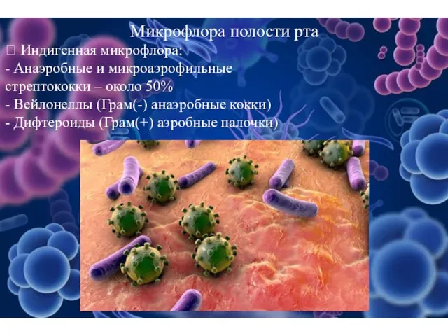 Микрофлора полости рта  Индигенная микрофлора: - Анаэробные и микроаэрофильные стрептококки –