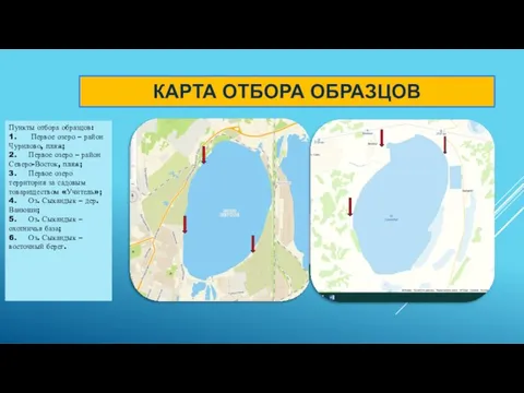 КАРТА ОТБОРА ОБРАЗЦОВ Пункты отбора образцов: 1. Первое озеро – район Чурилово,