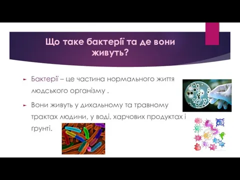 Що таке бактерії та де вони живуть? Бактерії – це частина нормального