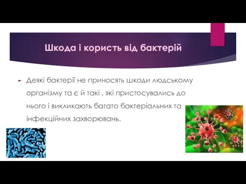 Шкода і користь від бактерій Деякі бактерії не приносять шкоди людському організму