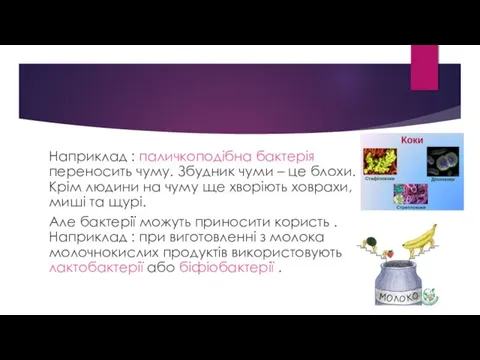 Наприклад : паличкоподібна бактерія переносить чуму. Збудник чуми – це блохи. Крім