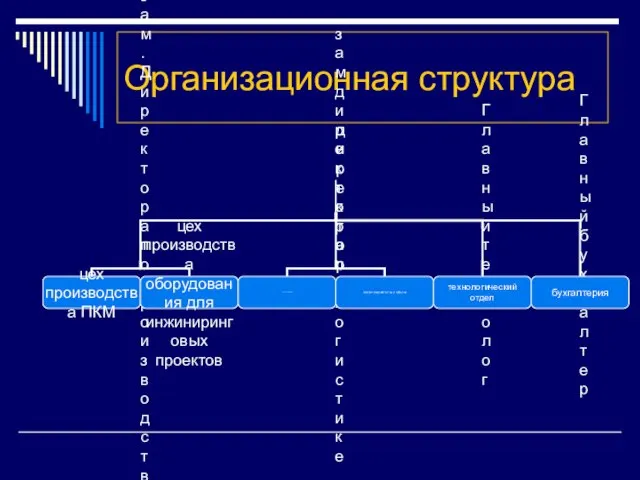 Организационная структура