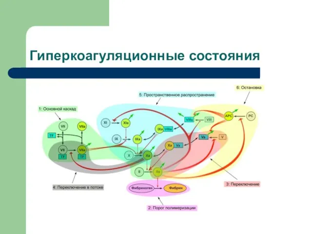 Гиперкоагуляционные состояния