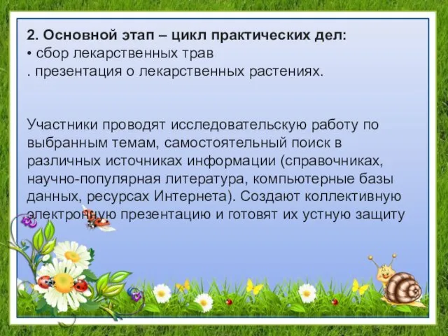 2. Основной этап – цикл практических дел: • сбор лекарственных трав .