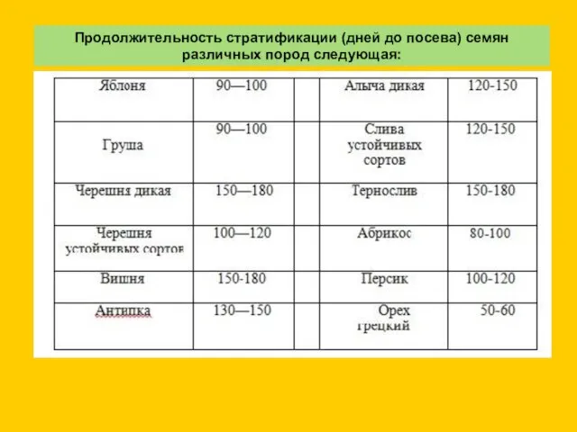 Продолжительность стратификации (дней до посева) семян различных пород следующая: