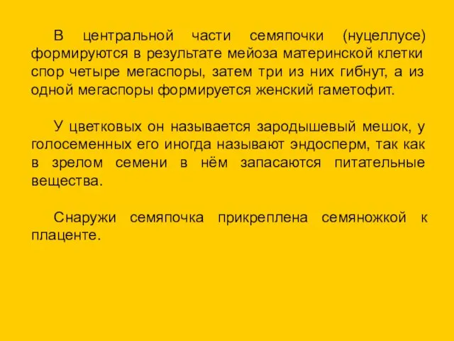 В центральной части семяпочки (нуцеллусе) формируются в результате мейоза материнской клетки спор