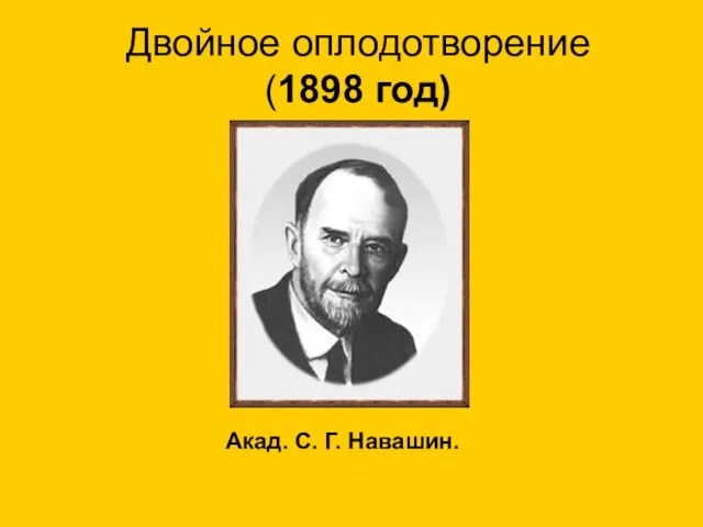 Двойное оплодотворение (1898 год) Акад. С. Г. Навашин.