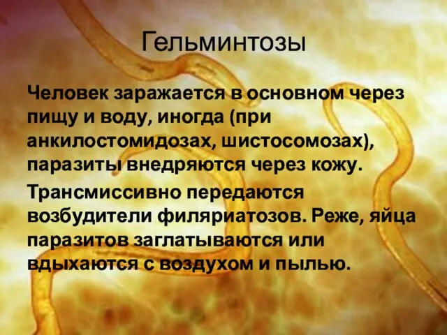 Гельминтозы Человек заражается в основном через пищу и воду, иногда (при анкилостомидозах,