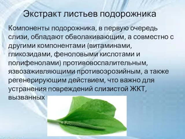 Экстракт листьев подорожника Компоненты подорожника, в первую очередь слизи, обладают обволакивающим, а