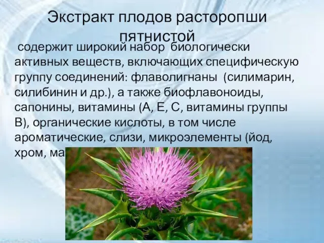 Экстракт плодов расторопши пятнистой содержит широкий набор биологически активных веществ, включающих специфическую