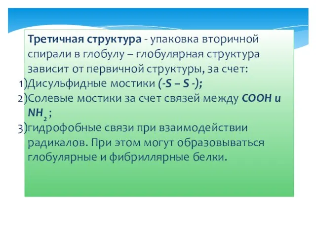 Третичная структура - упаковка вторичной спирали в глобулу – глобулярная структура зависит