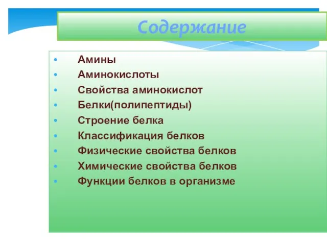 Содержание Амины Аминокислоты Свойства аминокислот Белки(полипептиды) Строение белка Классификация белков Физические свойства