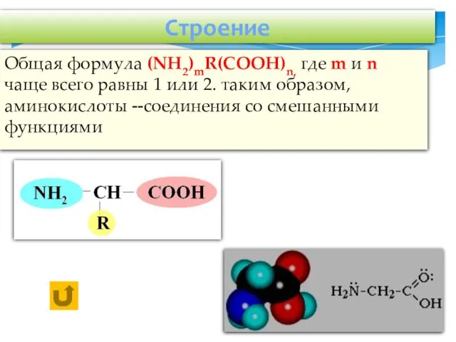 Строение Общая формула (NH2)mR(COOH)n, где m и n чаще всего равны 1