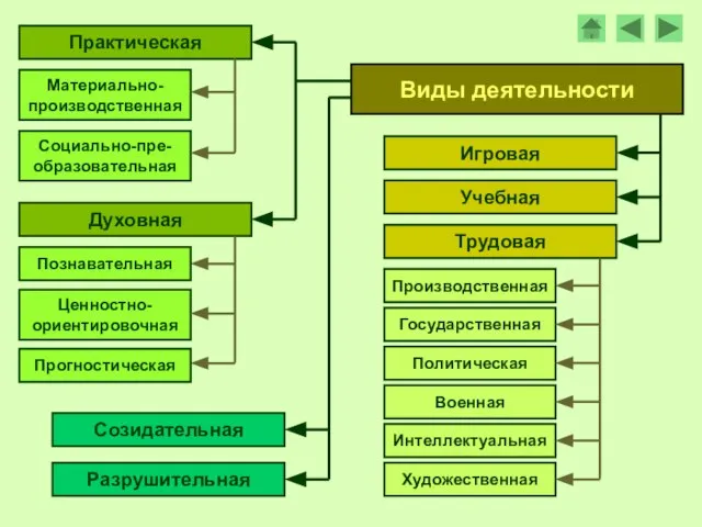 Виды деятельности Игровая Учебная Трудовая Производственная Интеллектуальная Художественная Государственная Политическая Военная Духовная