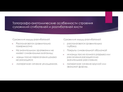 Топографо-анатомические особенности строения сухожилий сгибателей и разгибателей кисти Сухожилия мышц-разгибателей Располагаются сравнительно