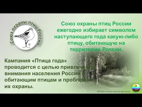 Союз охраны птиц России ежегодно избирает символом наступающего года какую-либо птицу, обитающую