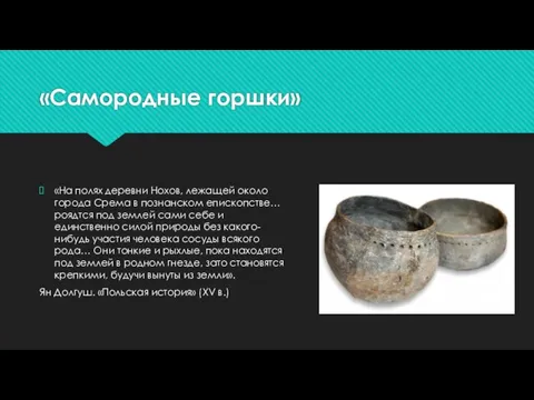 «Самородные горшки» «На полях деревни Нохов, лежащей около города Срема в познанском