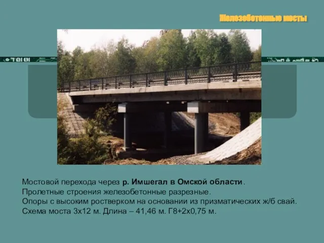 Железобетонные мосты Мостовой перехода через р. Имшегал в Омской области. Пролетные строения