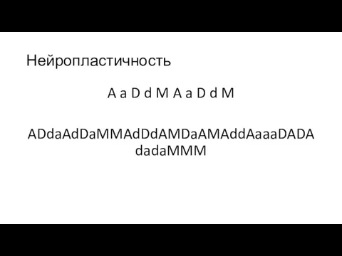 Нейропластичность A a D d M A a D d M ADdaAdDaMMAdDdAMDaAMAddAaaaDADAdadaMMM