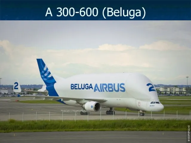 А 300-600 (Beluga)