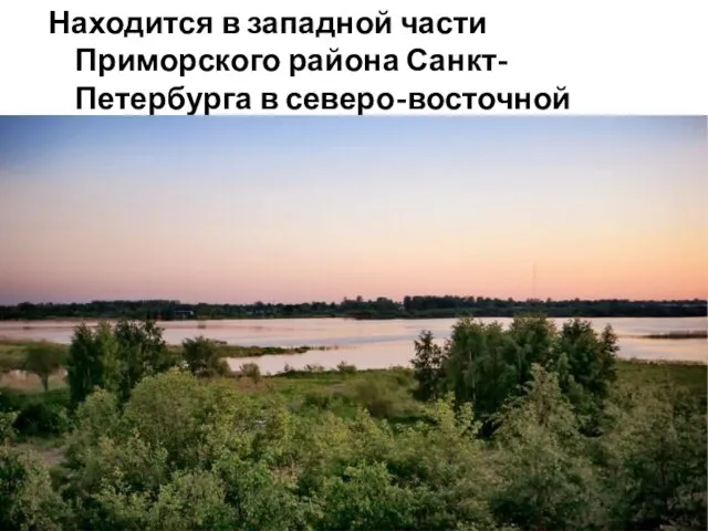 Находится в западной части Приморского района Санкт-Петербурга в северо-восточной части округа Лахта-Ольгино.