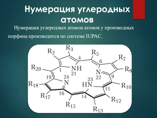 Нумерация углеродных атомов Нумерация углеродных атомов атомов у производных порфина производится по системе IUPAC.