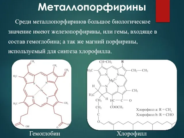 Металлопорфирины Среди металлопорфиринов большое биологическое значение имеют железопорфирины, или гемы, входяще в